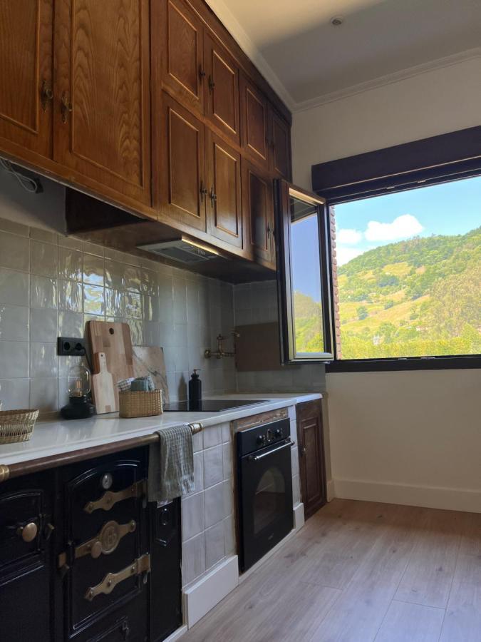 Mountain View Apartment Mieres  Exterior photo