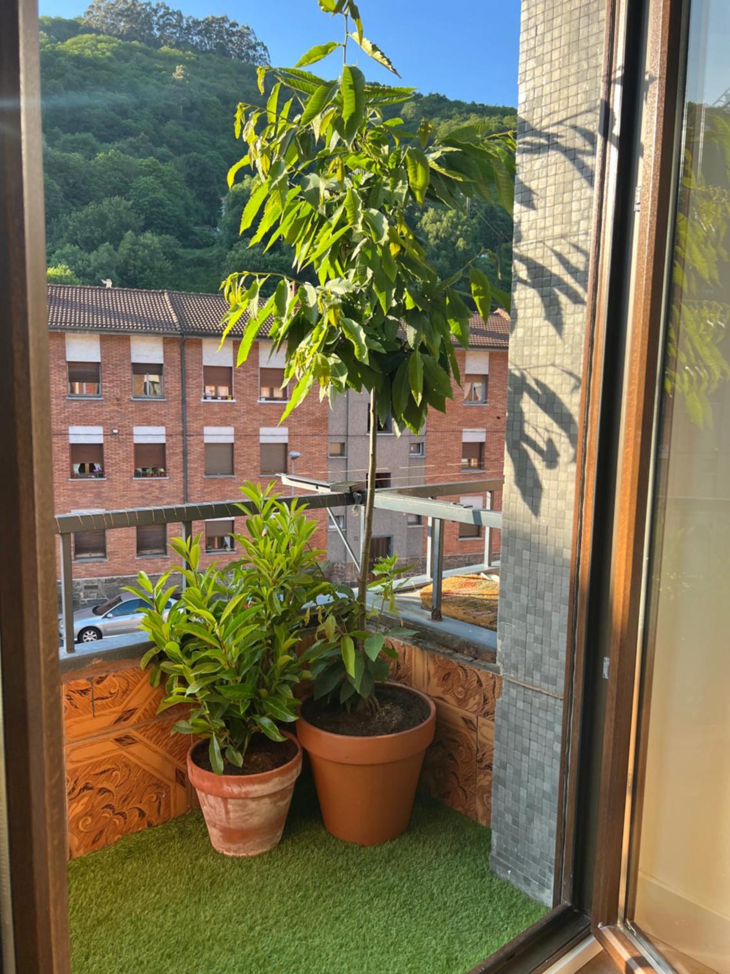 Mountain View Apartment Mieres  Exterior photo